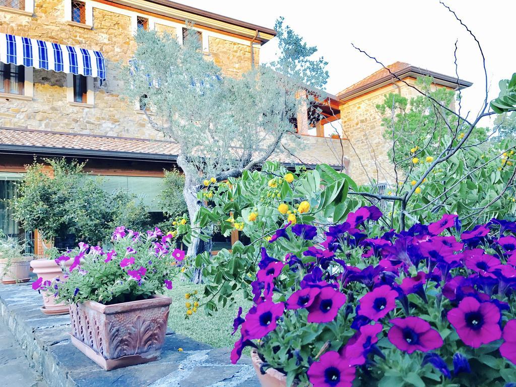 Casa Vacanze Il Cenito Castellabate Extérieur photo