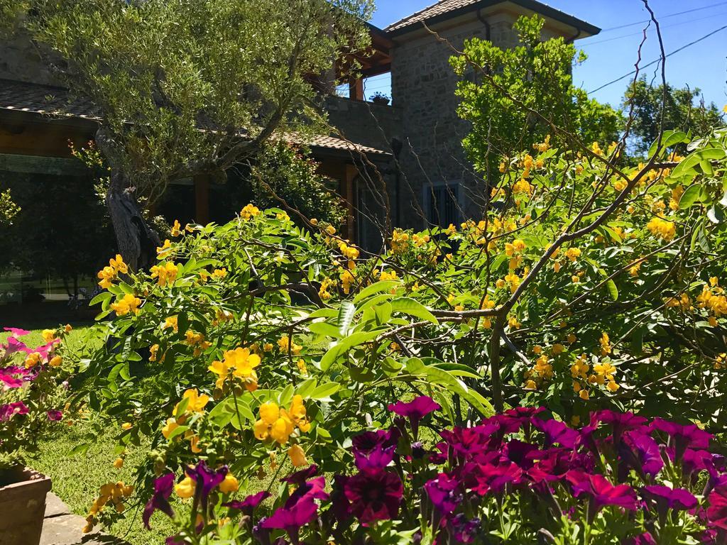 Casa Vacanze Il Cenito Castellabate Extérieur photo